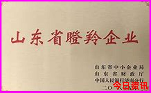 山东哪里好玩景点排名